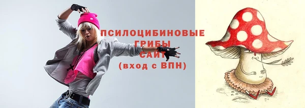 гидропоника Белоозёрский