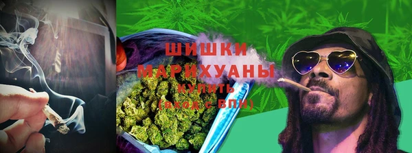 метадон Белокуриха